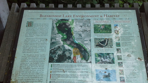 Blenkinsop Lake Environment And Habitat 