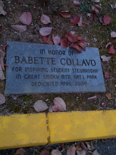 Babette Collavo Honorarium