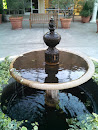 Spring Fountain 