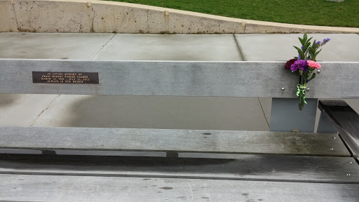 Craig Clarke Memorial Bench