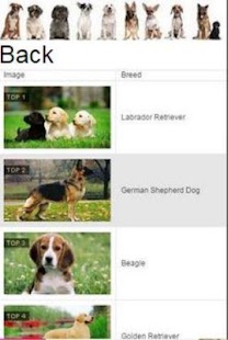 How to mod Top Best Dog Breeds 1.0.0 unlimited apk for bluestacks