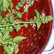 Lime-Basil Ice Cream Pie