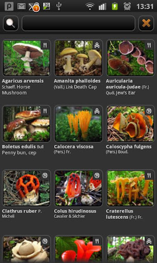 【免費書籍App】iFungi-APP點子