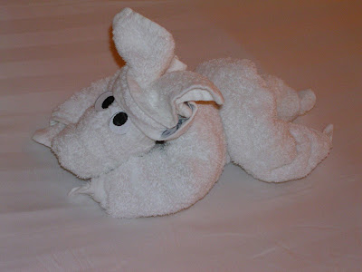 towel5