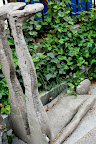 DSC_0071.JPG