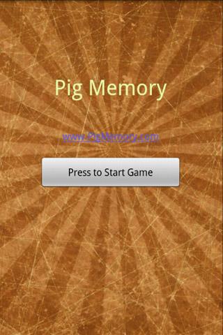 Pig Memory