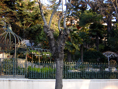 istanbul princes islands
