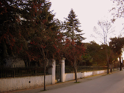 istanbul princes islands