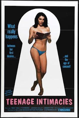 Keyhole Report (Schlüsselloch-­Report, aka Teenage Intimacies) (1973, Germany) movie poster