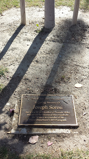 Joseph Soresi Memorial Tree