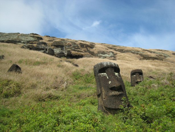[IMG_8495.JPG]