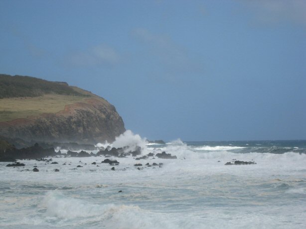 [IMG_8684.JPG]