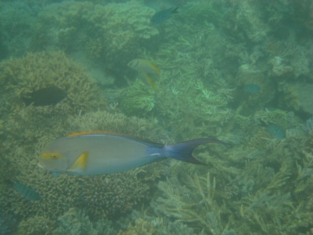 [IMG_9321.JPG]