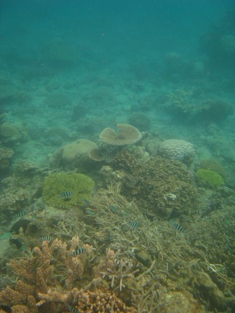 [IMG_9343.JPG]