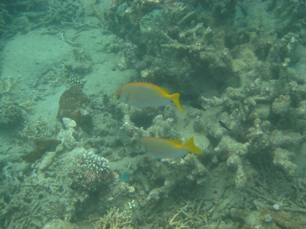[IMG_9344.JPG]