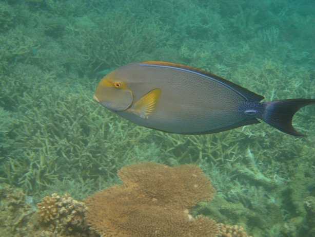 [IMG_9350.JPG]