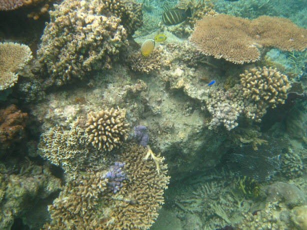[IMG_9354.JPG]