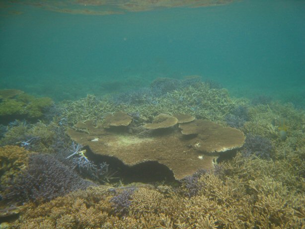[IMG_9361.JPG]