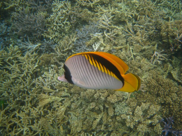 [IMG_9367.JPG]