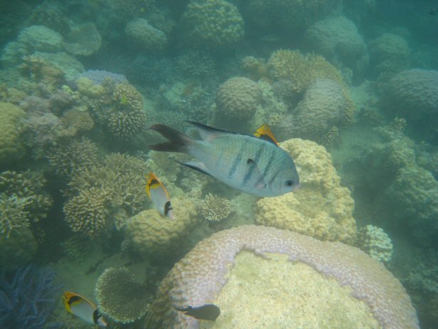 [IMG_9386.JPG]