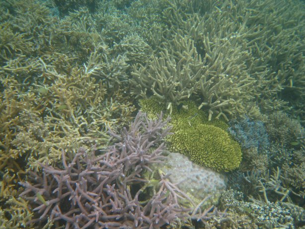 [IMG_9392.JPG]