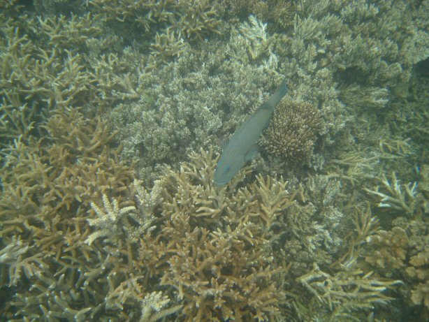 [IMG_9412.JPG]