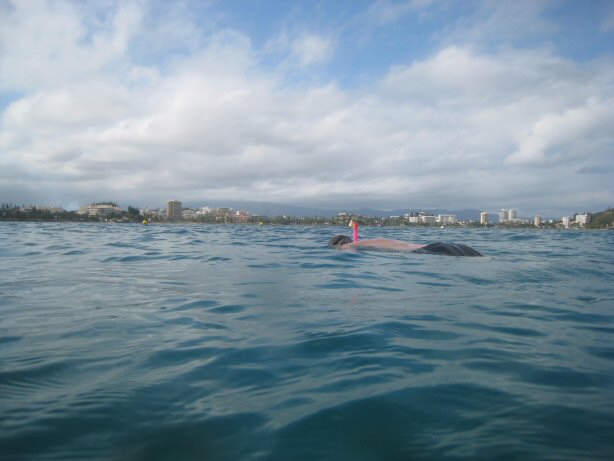 [IMG_9436.JPG]