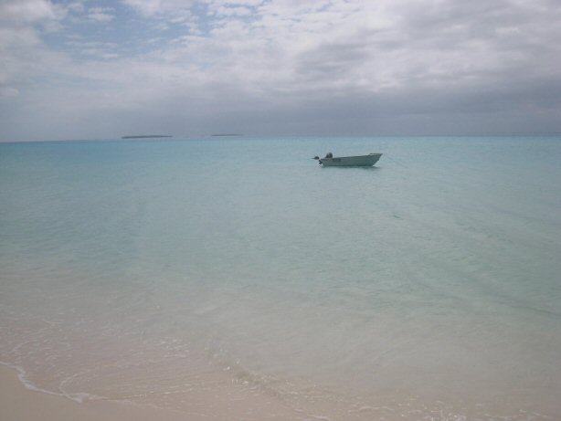 [IMG_9462.JPG]