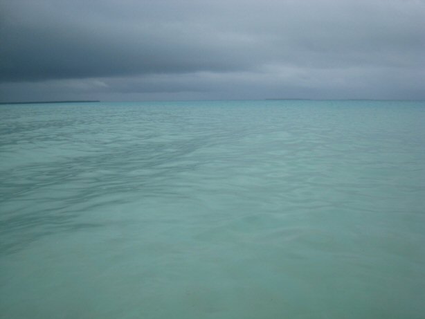 [IMG_9492.JPG]