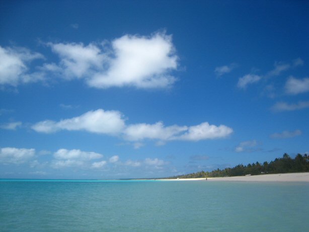 [IMG_9616.JPG]