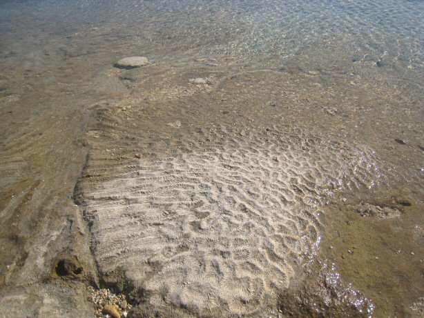[IMG_9654.JPG]