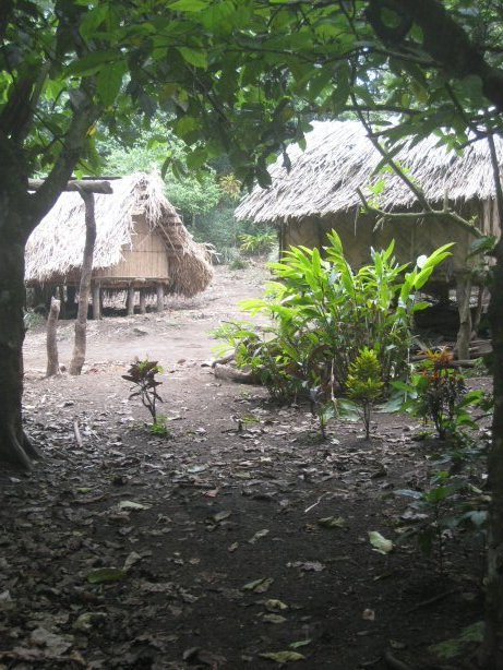 [IMG_9691.JPG]