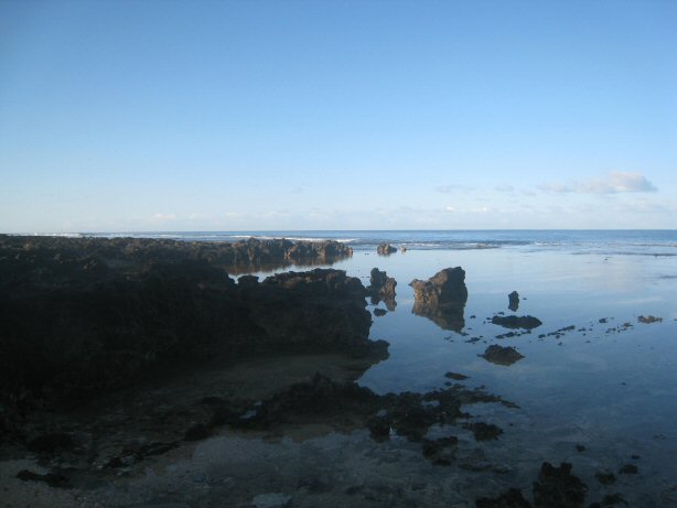 [IMG_9834.JPG]