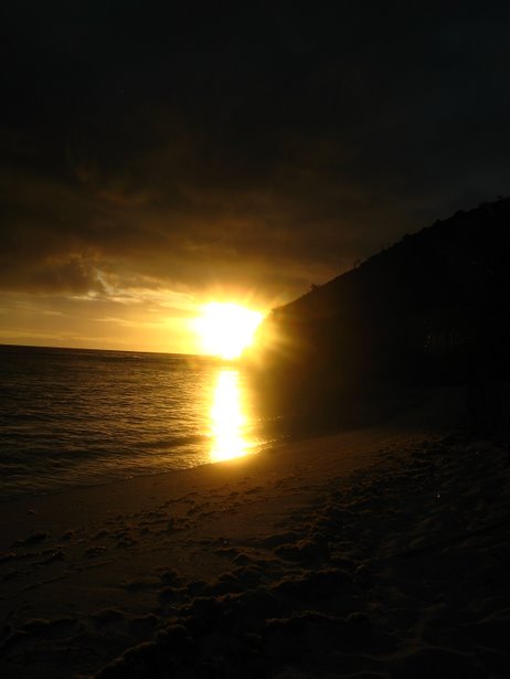 [IMG_0732.jpg]