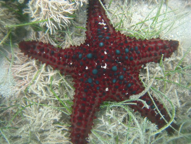 [IMG_0888.JPG]