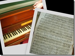 collage7