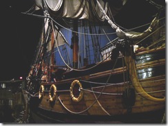 SDC11405