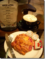 DSCN6513