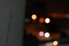DSC_1511