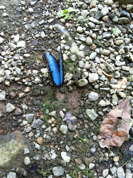 Spotting Image 1