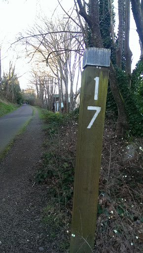 17 Trail Post