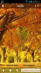 How to mod Cool Wallpapers V1.001.001 unlimited apk for pc