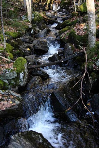[IMG_9356[4].jpg]
