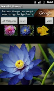 How to download Beautiful Flowers-2 lastet apk for bluestacks