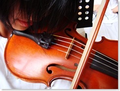 violin