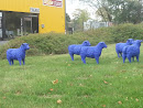 The Blue Sheeps Statues