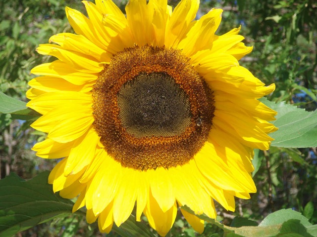 [P81600695.jpg]