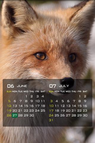 EcoLoco Calendar