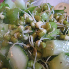 Cucumber Sprout Salad