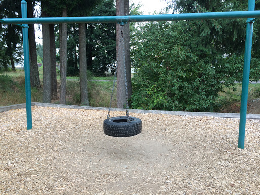 Park Tire Swing